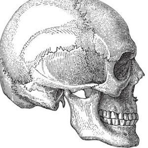 Meet your Posher, Jillian